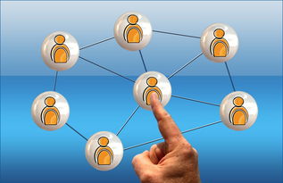 乐鱼电竞在线平台登录入口-世界足球推广：南南合作助力新兴市场崛起，南亚足球强国