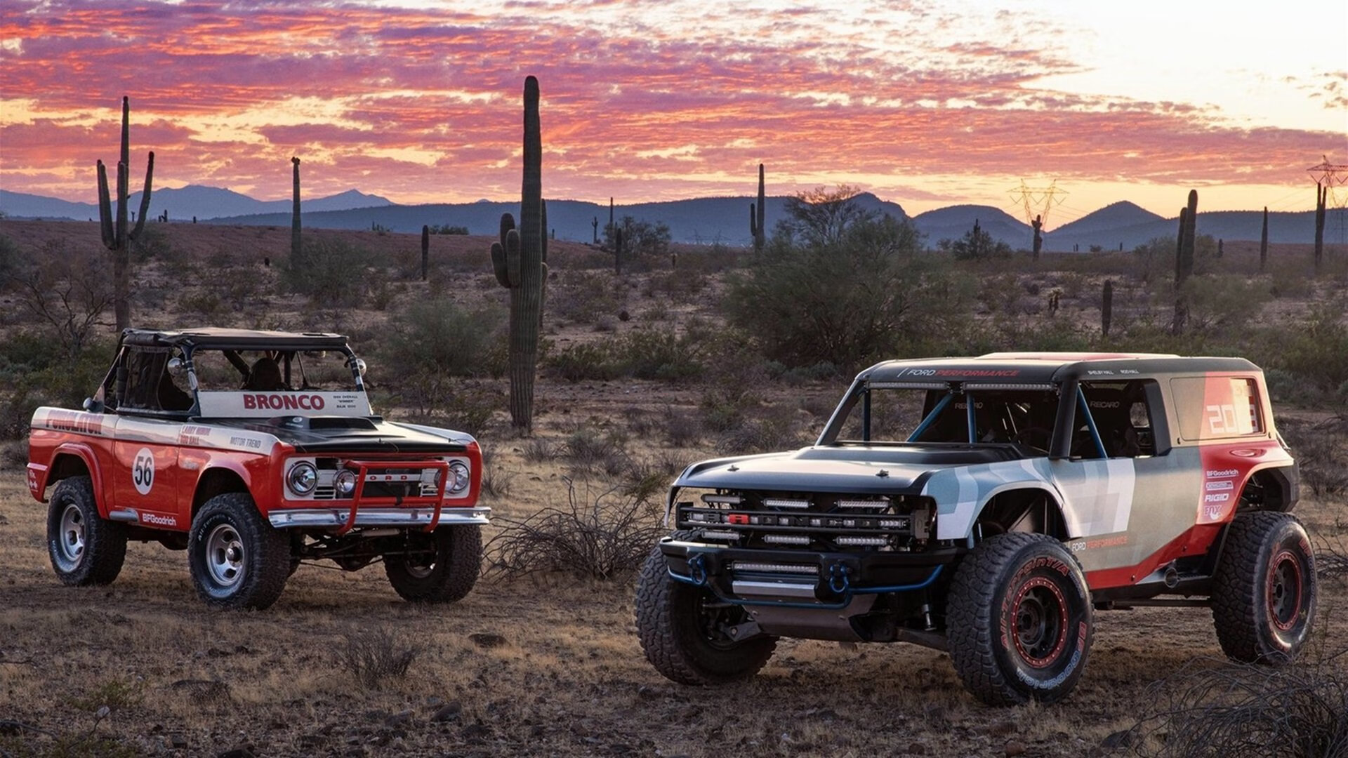 世界杯预选赛中国女足迎战 技术细节备受关注，中国女足世界杯预选赛时间