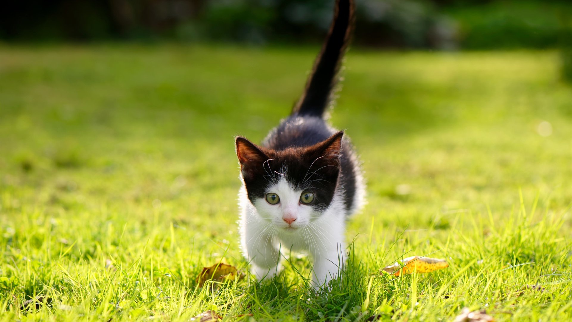 中国三人篮球男队进攻节奏加快，中国三人篮球男篮赛程