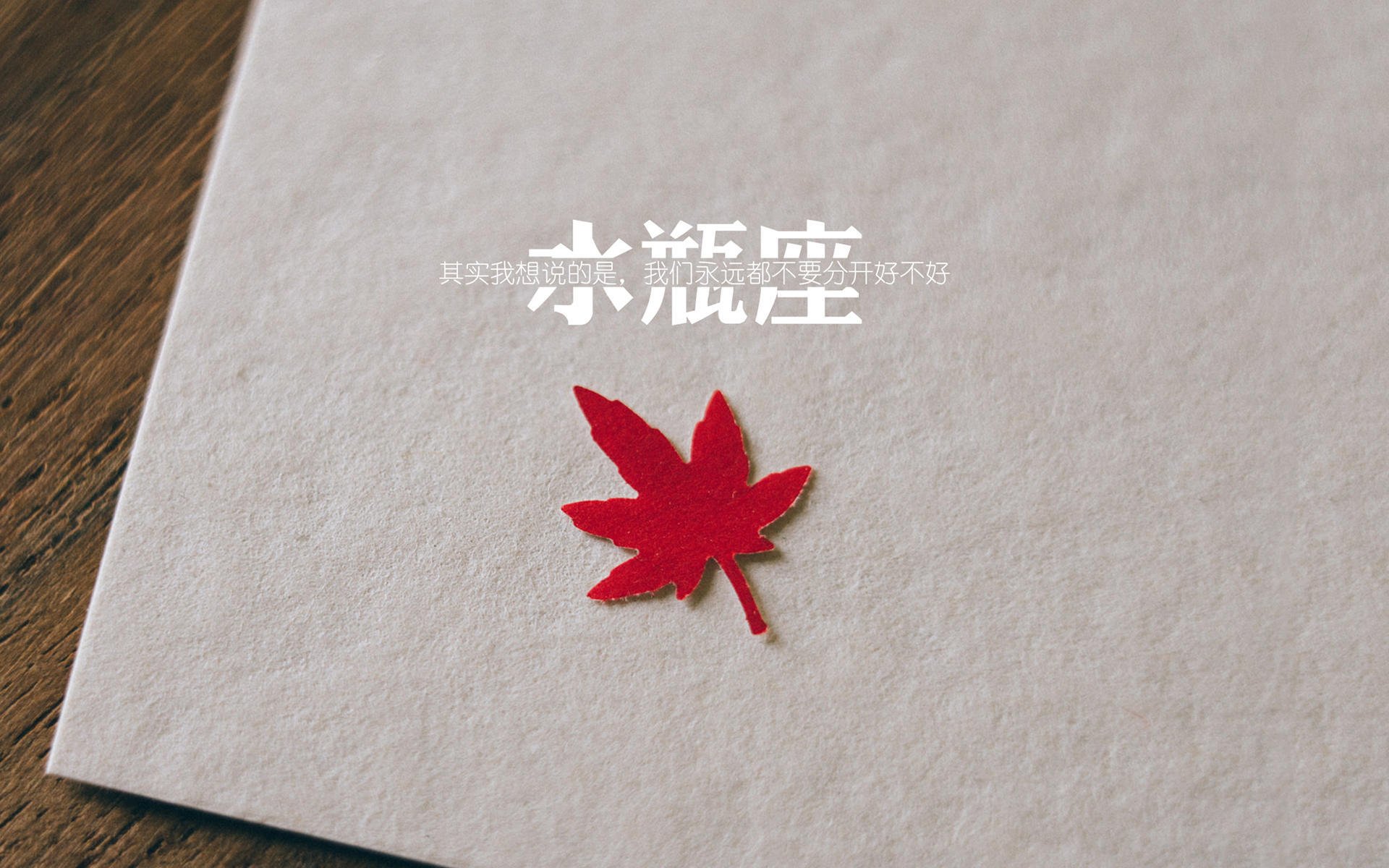 乒乓球技术分析软件帮助选手优化战术,乒乓球技术分析软件帮助选手优化战术的方法