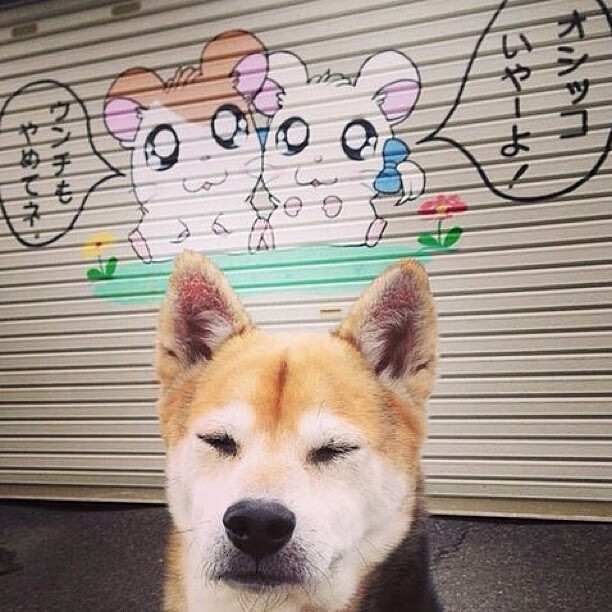 国家队热身赛强度不足影响实战模拟