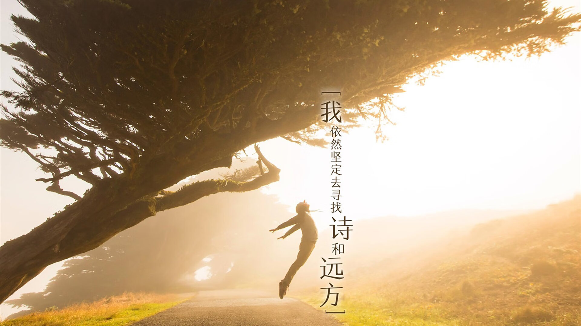 “萨尔·巴赫在南非队的角色转变：从替补到主力”