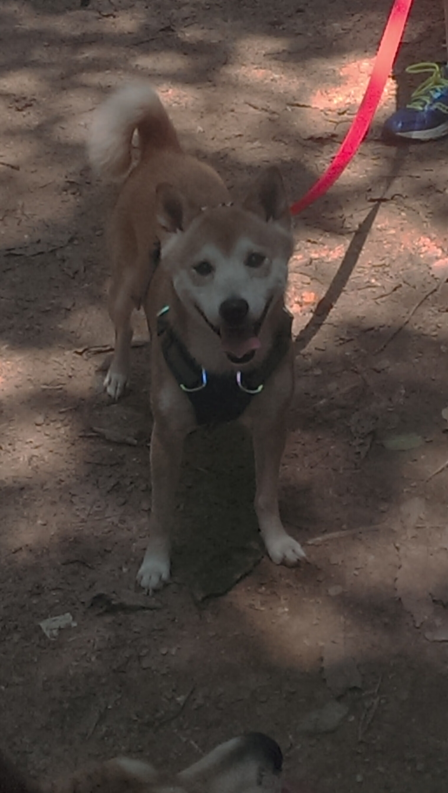 体育赛事安保措施加强,如何加强体育赛事活动的安全监管