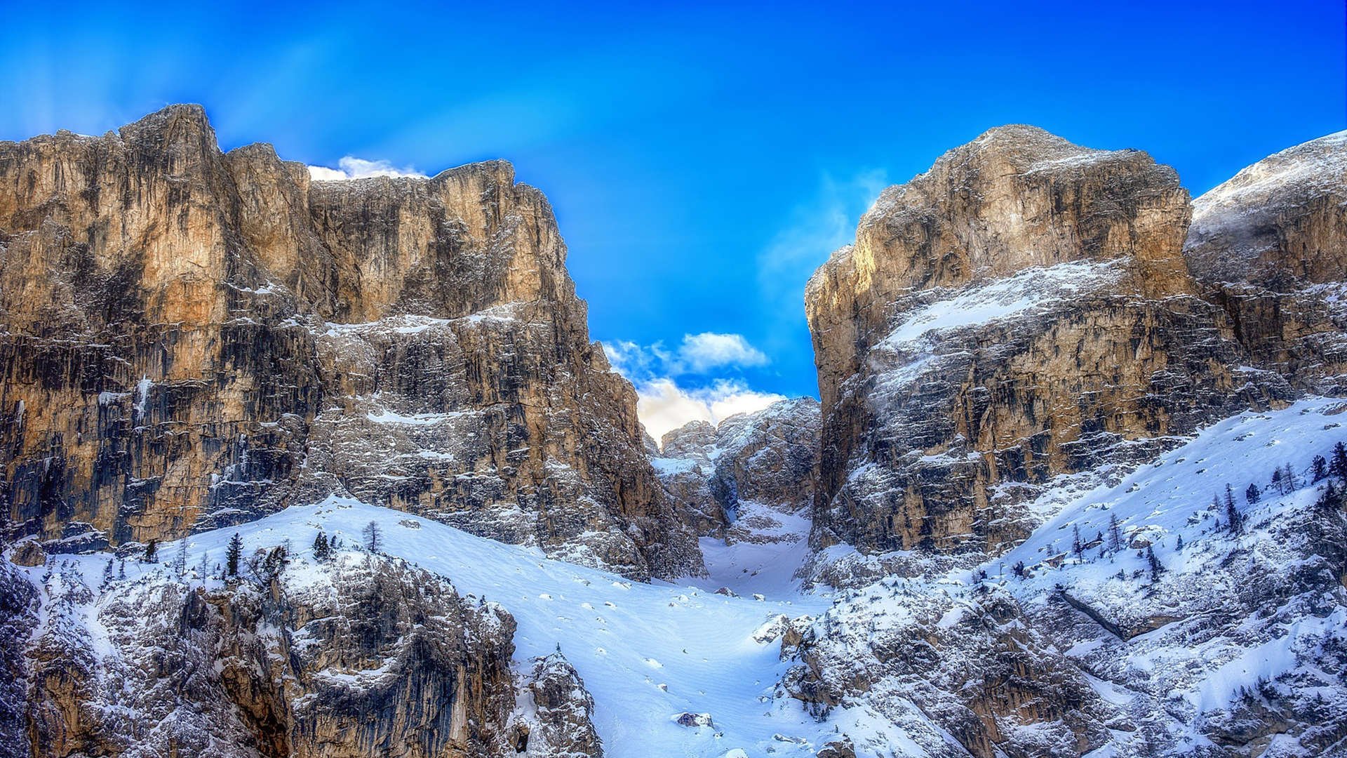 团体项目展示协作力量,团体项目展示协作力量有哪些