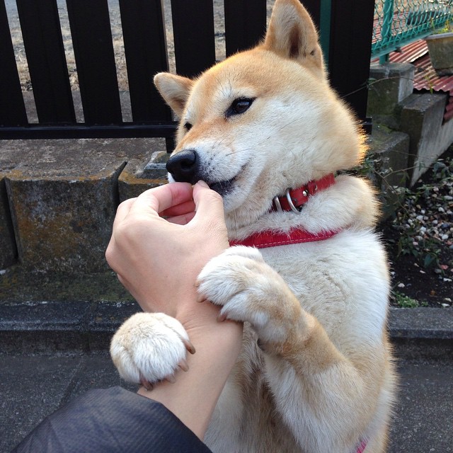 乐鱼体育平台官网-瑞安的独特风格，令全黑队在比赛中变得更具灵活性，瑞安俱乐部