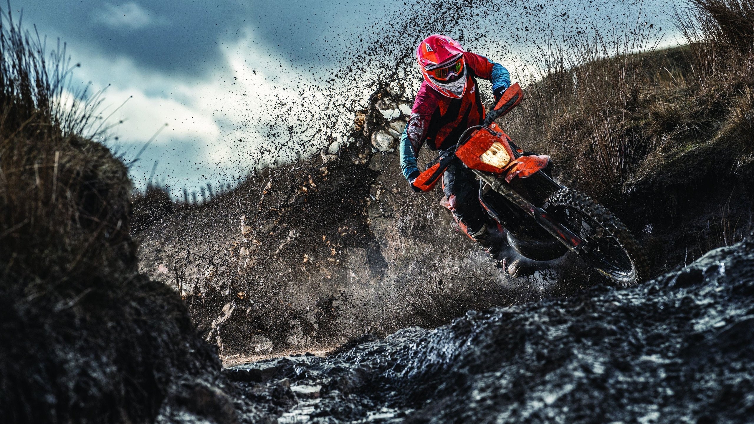 世界杯：中立球迷最喜爱三支球队调查 阿根廷、巴西、法国上榜